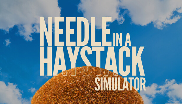 Needle In A Haystack Simulator cover art